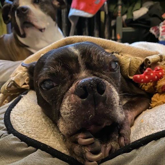 Meet your Posher, Jessica - Picture 6 of 9